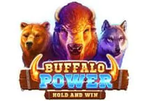 Buffalo Power: Hold and Win